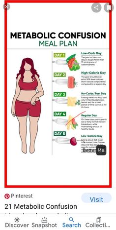 Types Of Diets For Women, Metabolic Confusion Diet Endomorph Meal Plan, V Shred Endomorph Meal Plan, Endomorph Diet Women Meal Plan Free, V Shred Endomorph, Vince Sant Endomorph Diet