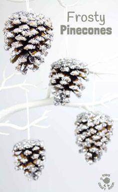 pinecones hanging from a branch with snow on them