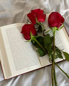 three red roses sitting on top of an open book