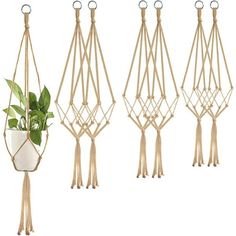 three macrame plant hangers with plants in them and one hanging on the wall