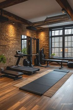 a home gym with treadmills, exercise mats and plants in front of a window