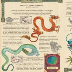 an old book with pictures of different types of dragon