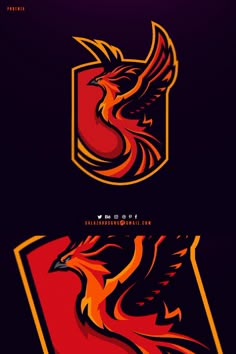 Phoenix logo Phoenix Esport Logo, Fenix Logo, Phoenix Warrior, Logo Phoenix, Sports Mascot, Phoenix Logo, Making Content, Mascot Logos, Bus Art