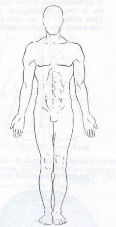 a drawing of a man's torso and upper body, with the muscles visible