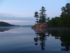 a body of water with trees on the shore and blue sky in the back ground