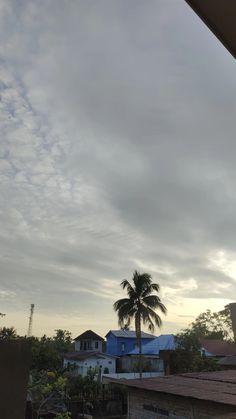 the sky is very cloudy and there are palm trees in the foreground with houses in the background