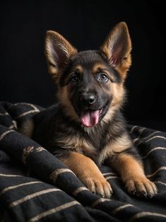 a small dog laying on top of a bed with his tongue hanging out and looking at the camera