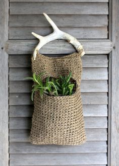 an antler's head hanging on the side of a door with a plant in it