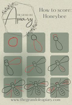 an image of how to draw a honeybee