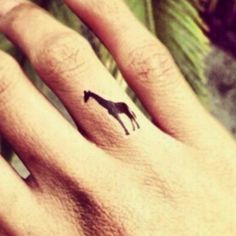 a person's hand with a small horse tattoo on the middle finger, and palm trees in the background