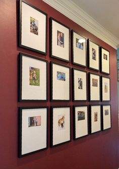 a wall with many pictures hanging on it