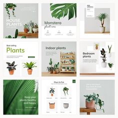 a series of brochures with plants and houseplants on them, all in shades of green