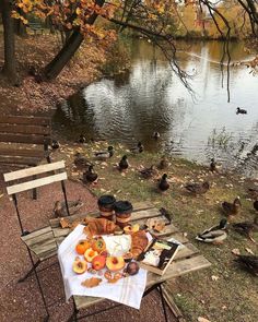 there is a picnic table with food on it near the water and ducks in the background