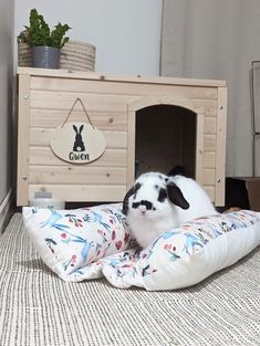 a rabbit sitting on top of a bed in front of a dog house with a pillow