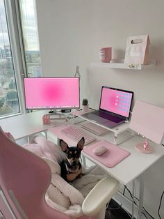 a small dog sitting in a pink chair at a desk with two computer monitors and a laptop