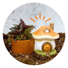 a potted plant next to a small mushroom house