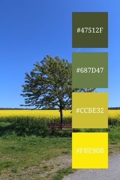 a bench sitting in the middle of a field next to a tree and yellow flowers