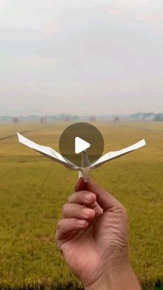 a hand holding a pair of scissors in front of a field