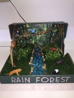 a box that is filled with toys and water in the middle of it, which reads rain forest