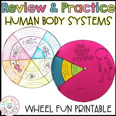 the human body systems wheel fun printable for kids to practice reading and writing skills