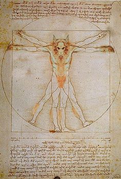 an old drawing of a man's body and the vitruoidus