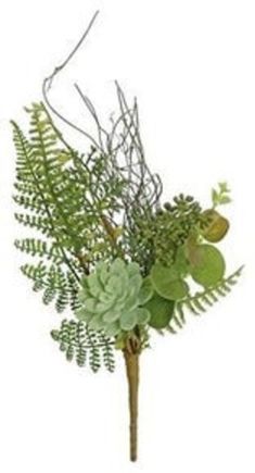 an arrangement of green plants in a vase