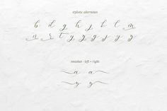 Salt and Sea Calligraphy Font Font Beck McCormick Font Procreate, Feminine Brand, Fonts Handwriting, Handwritten Script Font, Character Map, Upper And Lowercase Letters, Font Inspiration, Cursive Font, Calligraphy Script