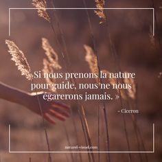 a woman's hand reaching for tall grass with the quote si nous premons la nature pour guide, nots ne nos les garrens jamins