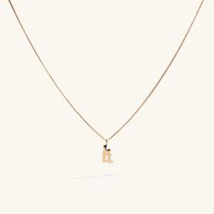 Whether you wear your loved one’s initial or your own, this dainty initial necklace is a chic way to personalize your neck stack. The Old English initial hangs on a box chain that reflects all the light. A thoughtful piece for you or any person in your life. 14k Gold Fill. Yellow Gold Initial Pendant Charm Necklace With Box Chain, 14k Gold Initial Pendant Necklace With Box Chain, Rose Gold Initial Necklace With Adjustable Chain, Rose Gold Initial Pendant Necklace With Delicate Chain, Initial Pendant Necklace With Box Chain As Gift, Initial Pendant Necklace On Box Chain For Gifts, Gift Initial Pendant Necklace With Box Chain, Gift Initial Pendant Necklace On Box Chain, Dainty Initial Necklace