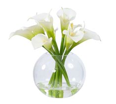 white flowers in a clear glass vase on a white background with water droplets and bubbles