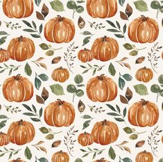 watercolor pumpkins and leaves on a white background