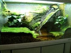 an aquarium with moss growing on the bottom and water running down it's sides