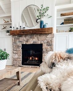 a dog sitting on a couch in front of a fireplace with a mirror above it