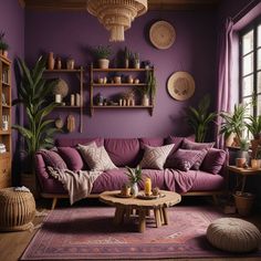 a living room with purple walls and lots of plants on the shelf above the couch