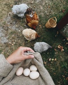 Manifesting Future, Hannah Core, Farm Aesthetic, Manifesting 2024, Cottagecore Vibes, Future Farms, Farm Lifestyle, Apricot Lane, Life Vision Board