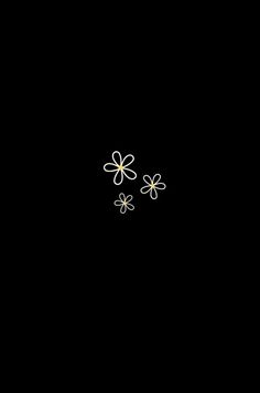 two small white flowers on a black background