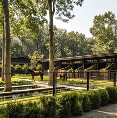 two horses are standing in the grass near some trees