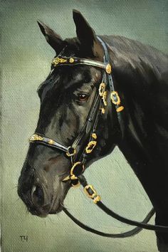 a painting of a black horse wearing a bridle