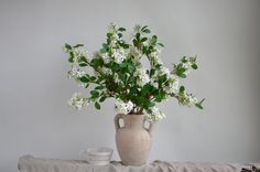 a vase filled with white flowers on top of a table