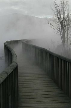 a foggy bridge with trees and water in the background