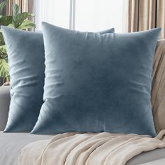 two blue pillows sitting on top of a couch next to a plant in a living room