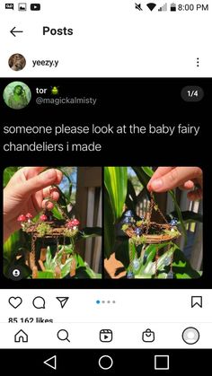 someone is trying to take care of their baby fairy garden