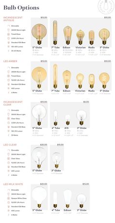 the different types of light bulbs are shown in this brochure, with descriptions and description