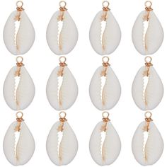 twelve white seashells hanging from gold - plated metal bails on a white background