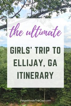 Cabin Trip Itinerary, Girls Cabin Weekend Ideas, Georgia Itinerary, Couple Trips, Rare Places, Ga Mountains, Charleston Vacation