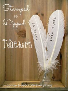 two white feathers in a glass vase with the words stamped and dipped feathers written on it