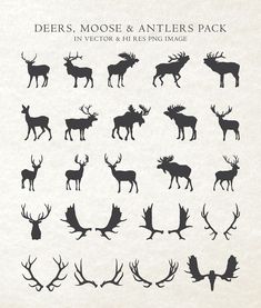 deers, moose and antlers pack in silhouette on white paper with black ink