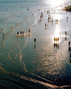 many people are walking on the beach near the water and in the ocean at sunset