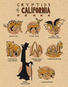 an old poster shows the different types of animals and their names in black, gold, and white