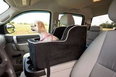 a dog sitting in the back seat of a truck